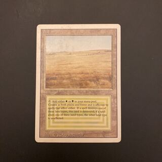 MTG Savannah 3ED 英語版 デュアルランド MTG Savannah サバンナ 英語