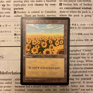 MTG APACランド 平地 ひまわり 6枚セット MTG APACランド 平地