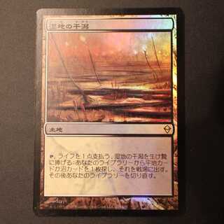 MTG 湿地の干潟 ロシア語foil 湿地の干潟 日本語FOIL 日本印刷 MTG