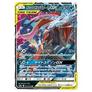 PSA10】ポケモンカード ゲッコウガ&ゾロアークGX RR TAG TEAM PSA10