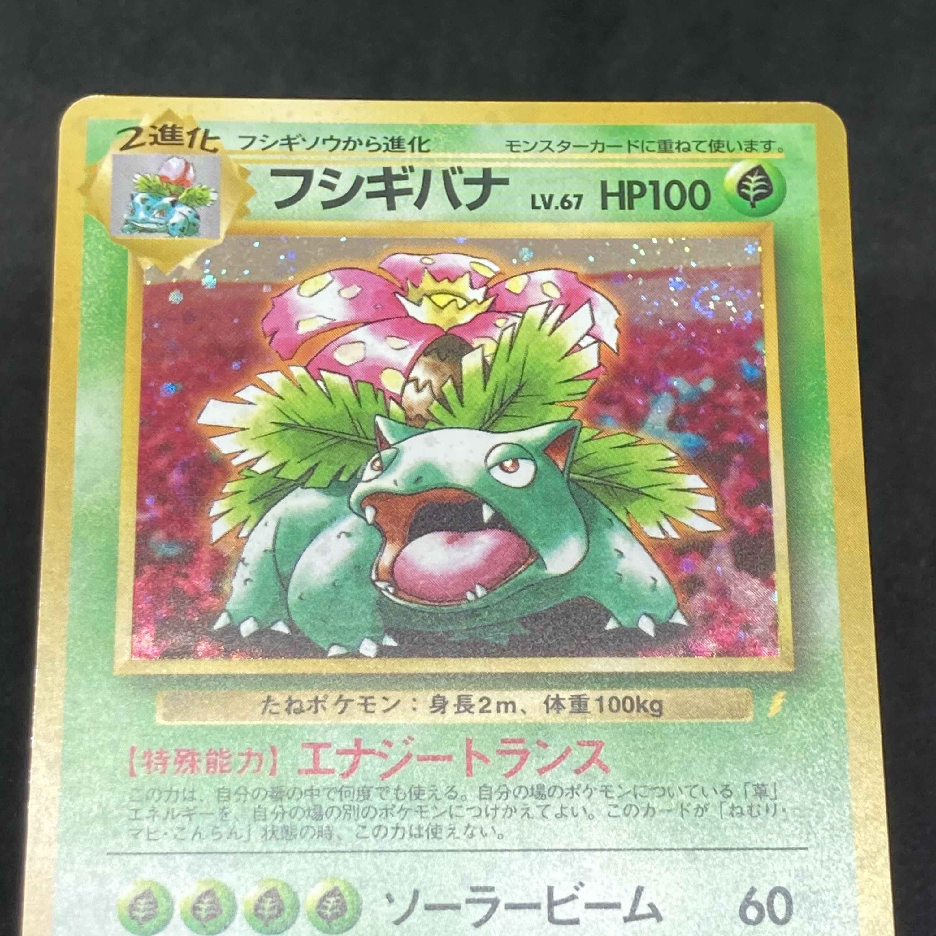 ポケカ フシギバナ とりかえっこプリーズ 旧裏 ポケモンカード 旧裏面