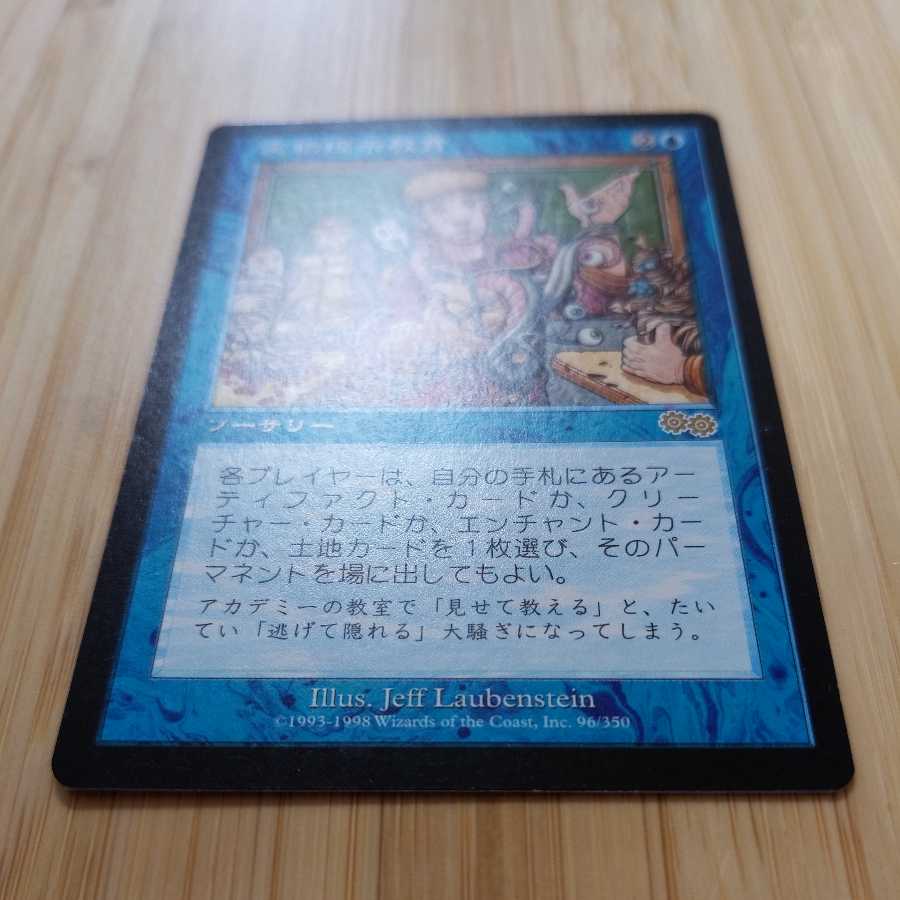 mtg 実物提示教育 日本語版 mtg 実物提示教育 日本語版