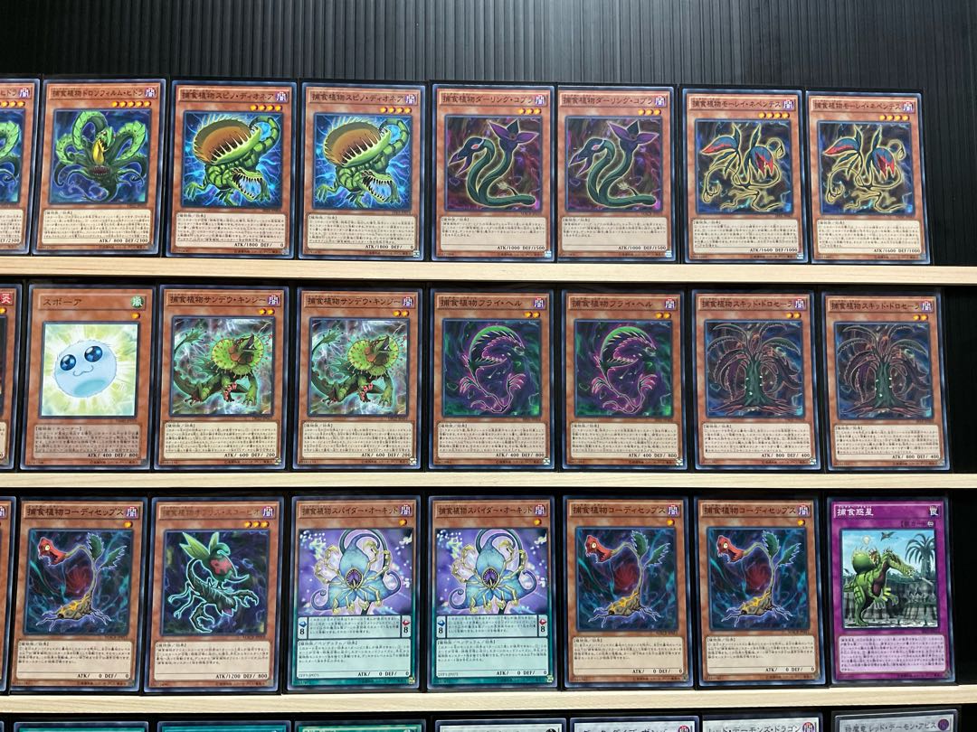 遊戯王デッキ 捕食植物デッキ ガチ構築 捕食植物】デッキレシピ・回し