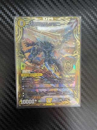 最安値！MAX•ザ•ジョニー20th B 1枚の通販 RoS（1404685664） | magi