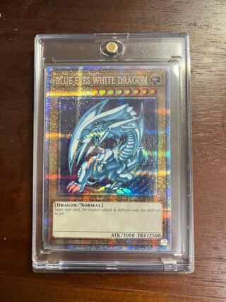 遊戯王 青眼の白龍 ブルーアイズホワイトドラゴン英語版 プリシク