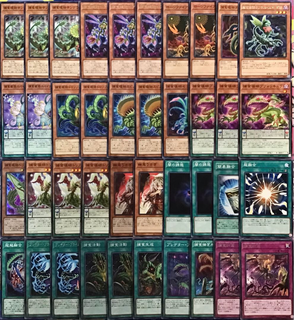 本格構築 【捕食植物】デッキ メイン＆EX15枚＆スリーブ セット 15枚の