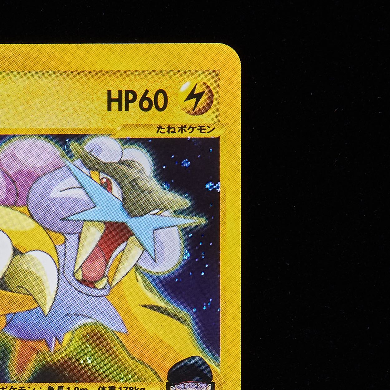 ランクB-】ポケモンカードVS R団のライコウ 1st Edition 1枚の通販