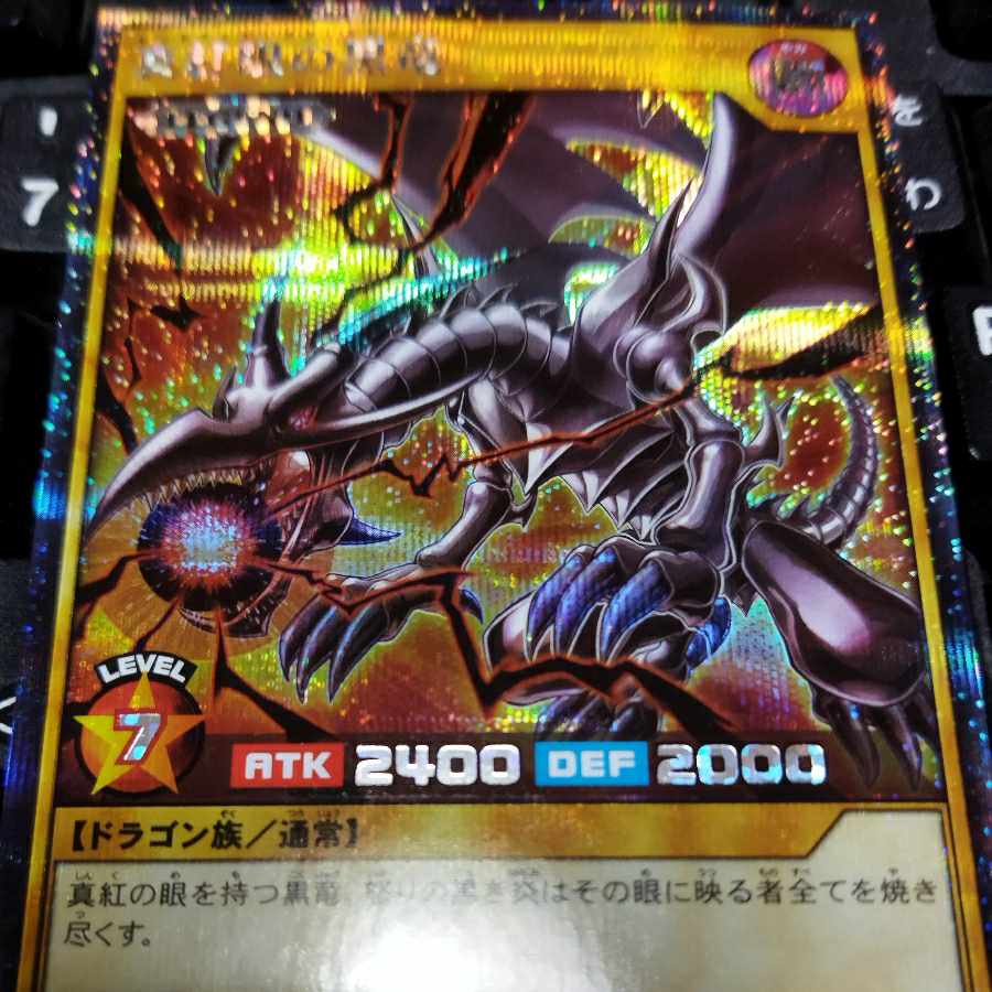 遊戯王レッドアイズブラックドラゴンプリシク