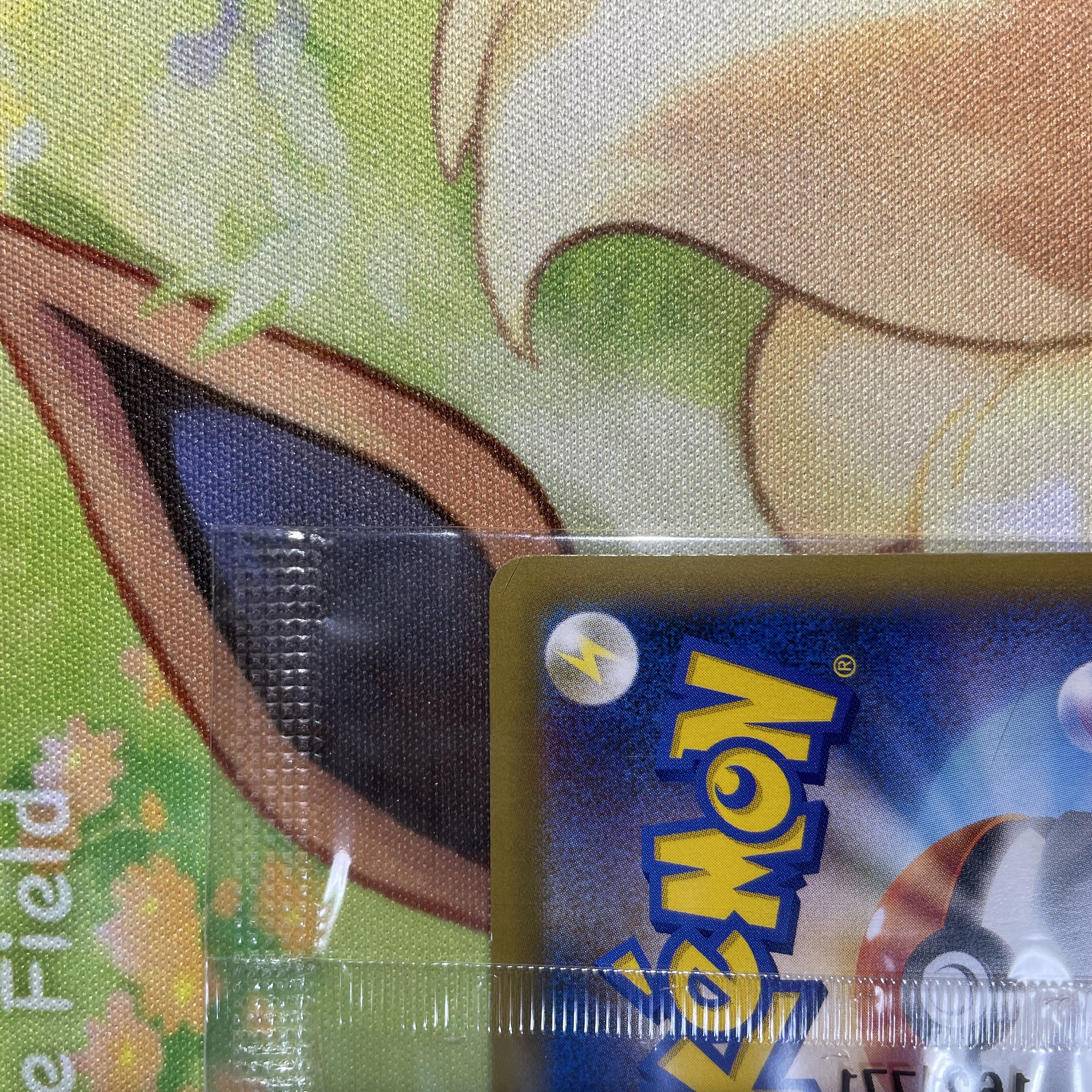 リザードンEX プロモ 未開封 もえあがる アートコレクション 276/XY-P