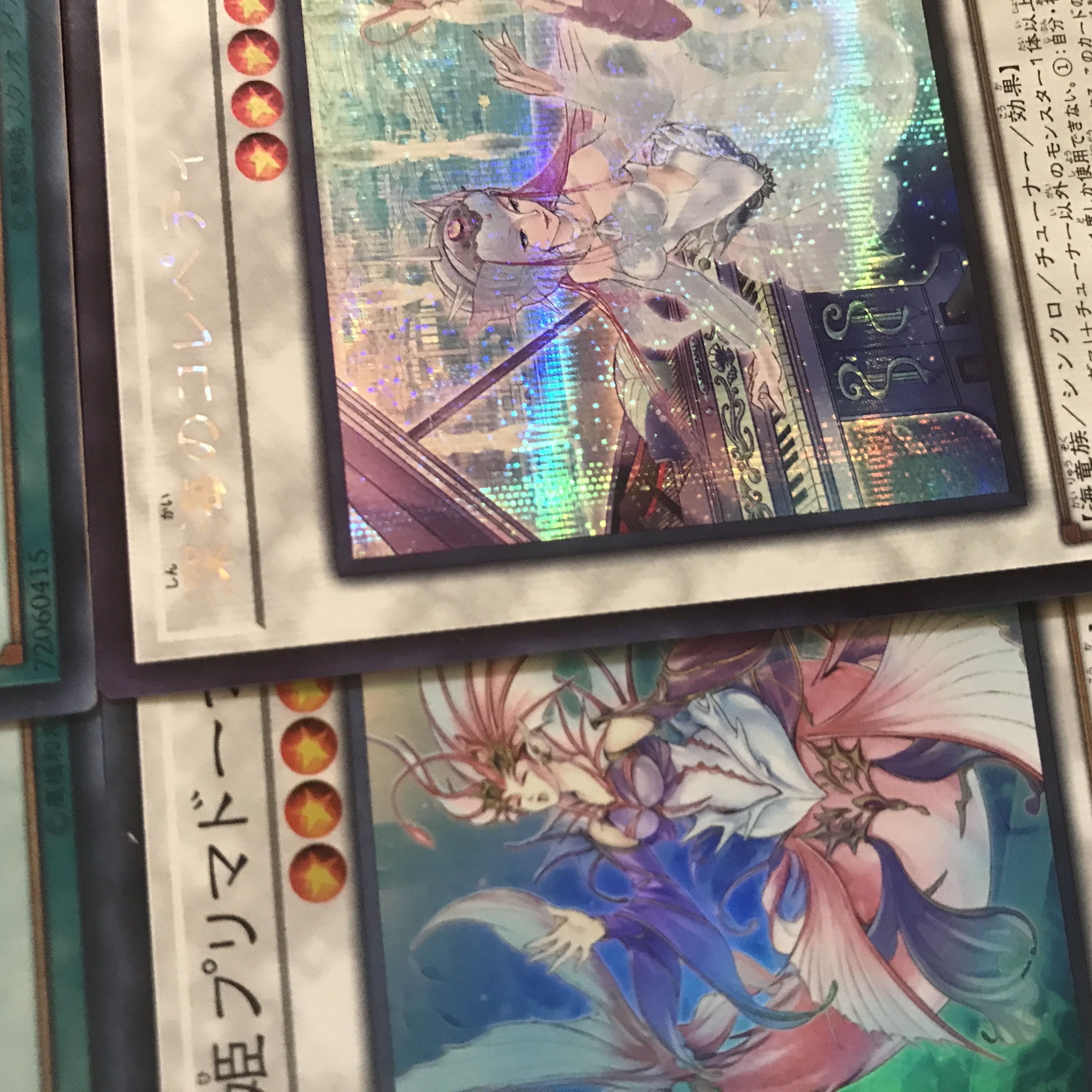 遊戯王【超本格構築‼️】海皇水精鱗デッキ 40枚 遊戯王 本格構築海皇水