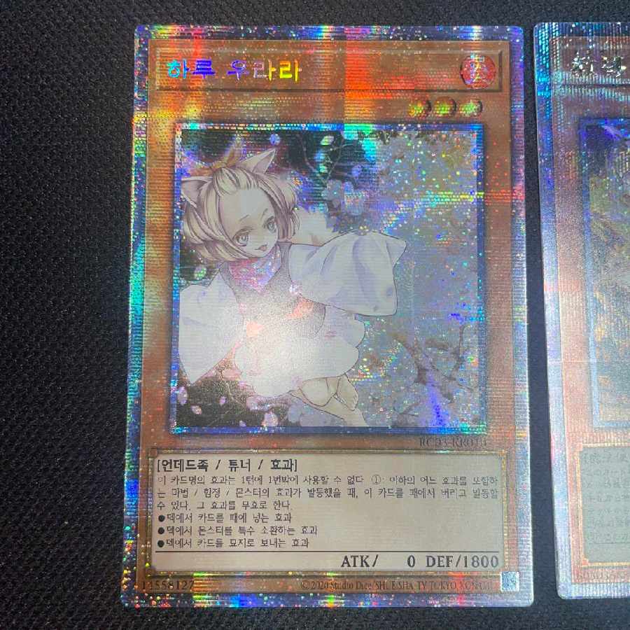 遊戯王 プリシク】遊戯王 滅びの黒魔術師 プリシク プリズマティック