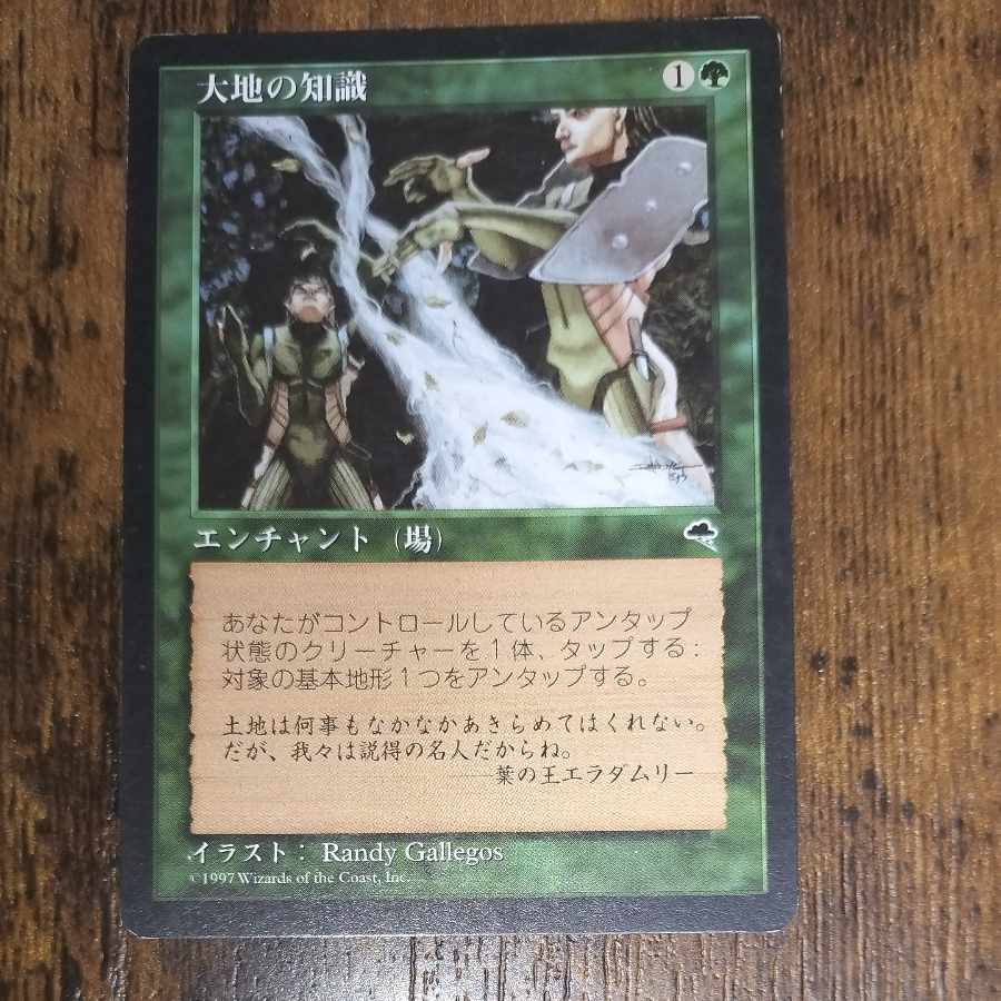 MTG 大地の知識 2枚セット 大地の知識/Earthcraft 2枚セット 日本語