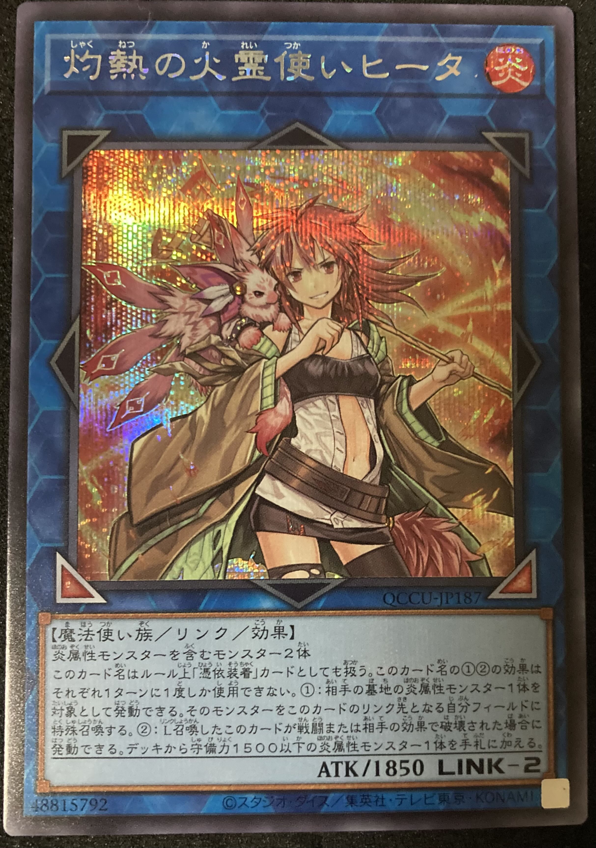 遊戯王 霊使い 憑依装着 25th PSA10 連番10枚セット 遊戯王 霊使い 憑依