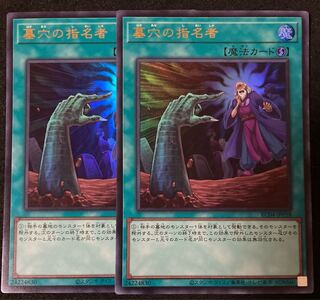 遊戯王 墓穴の指名者 墓坑の指名者 絵違い 25th シークレット2枚