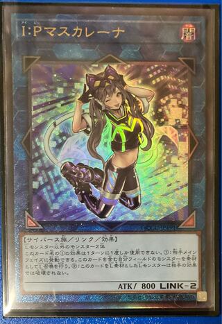 遊戯王 アーコレ I:Pマスカレーナ 25thシク 遊戯王OCG IPマスカレーナ