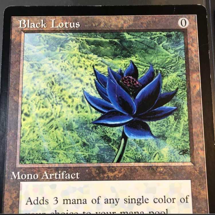 MTG ブラックロータス black lotus 大判カード ☆大判カード☆《Black