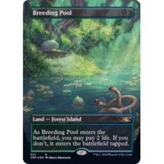 MTG 繁殖池 Breeding Pool 英語 4枚セット MTG 繁殖池 Breeding Pool 4