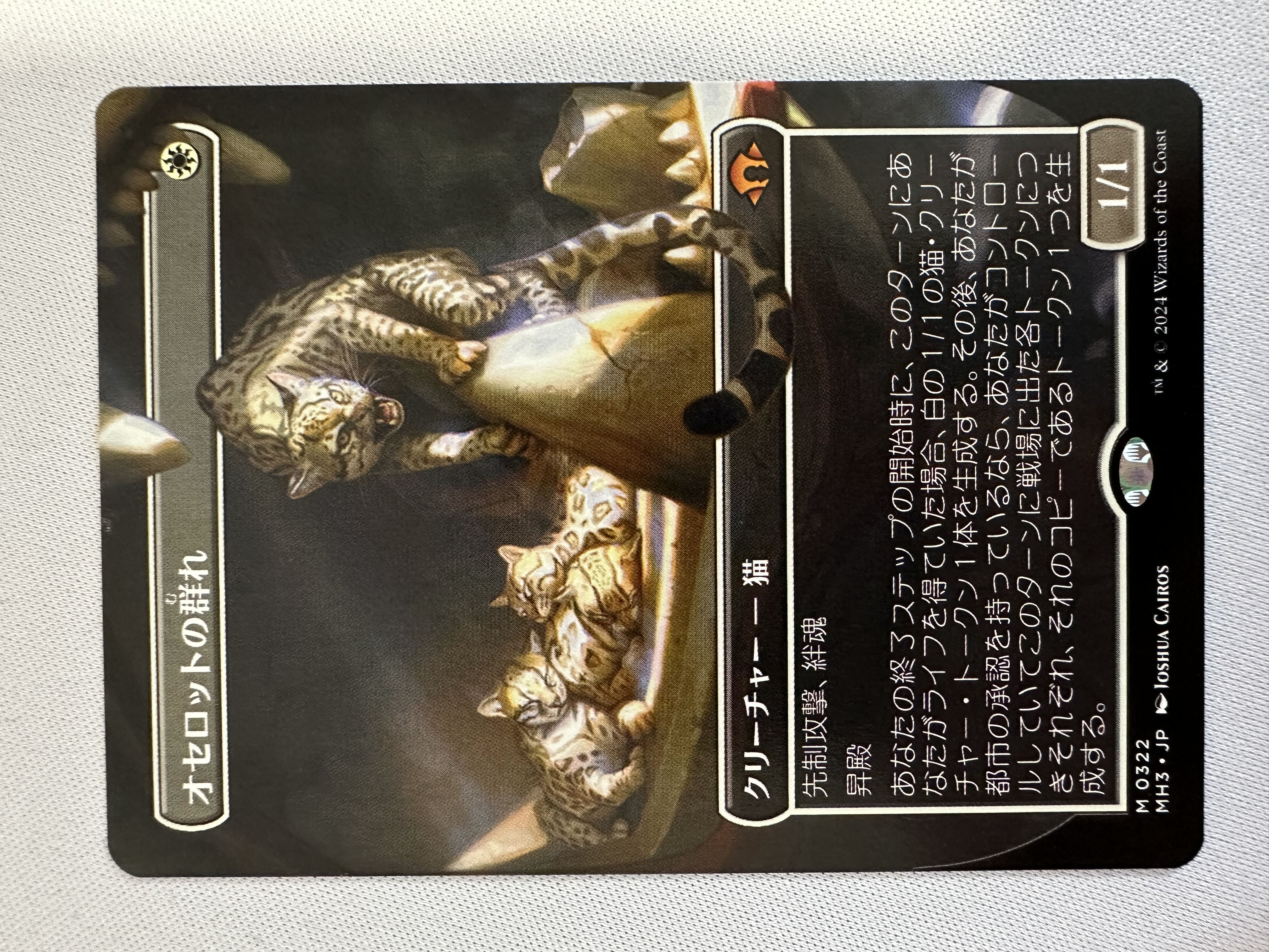 MTG オセロットの群れ/Ocelot Pride ボーダレス foil 英語 FOIL