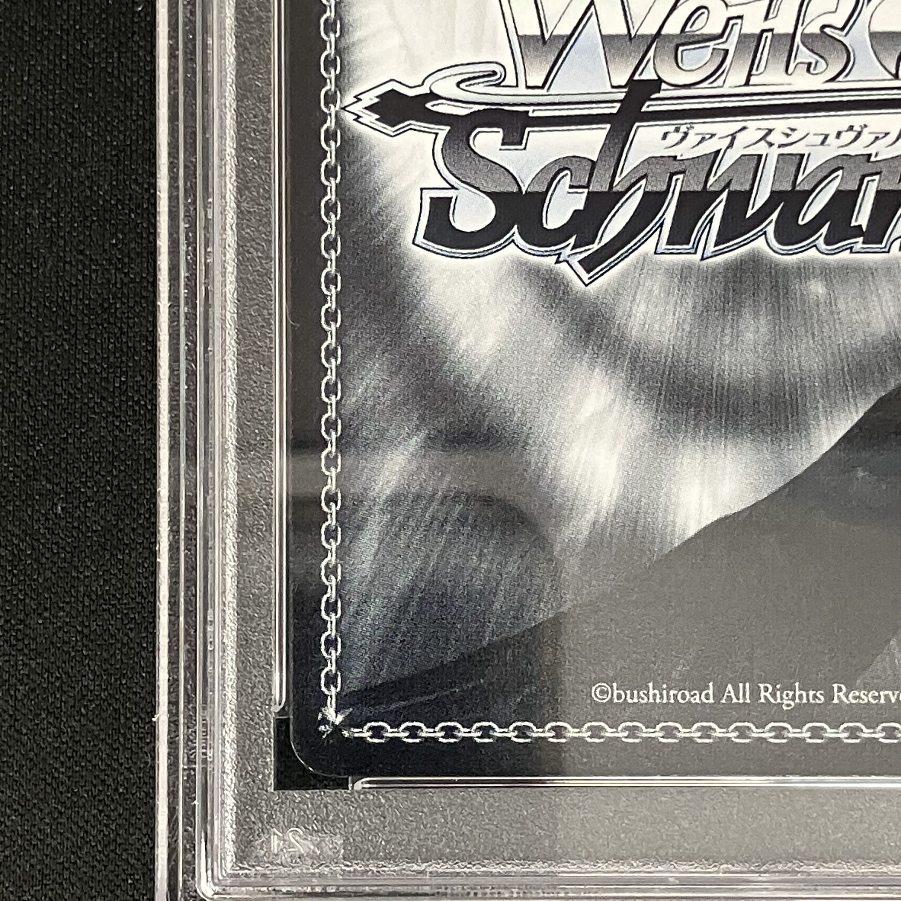 PSA10】ヴァイス WS 英語 ぼうふり サイン 二人の時間 サリー