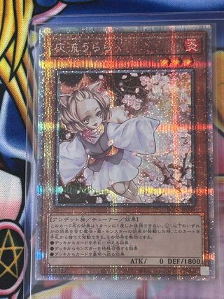 遊戯王 灰流うらら ハルウララ 20thシークレット 遊戯王 灰流うらら