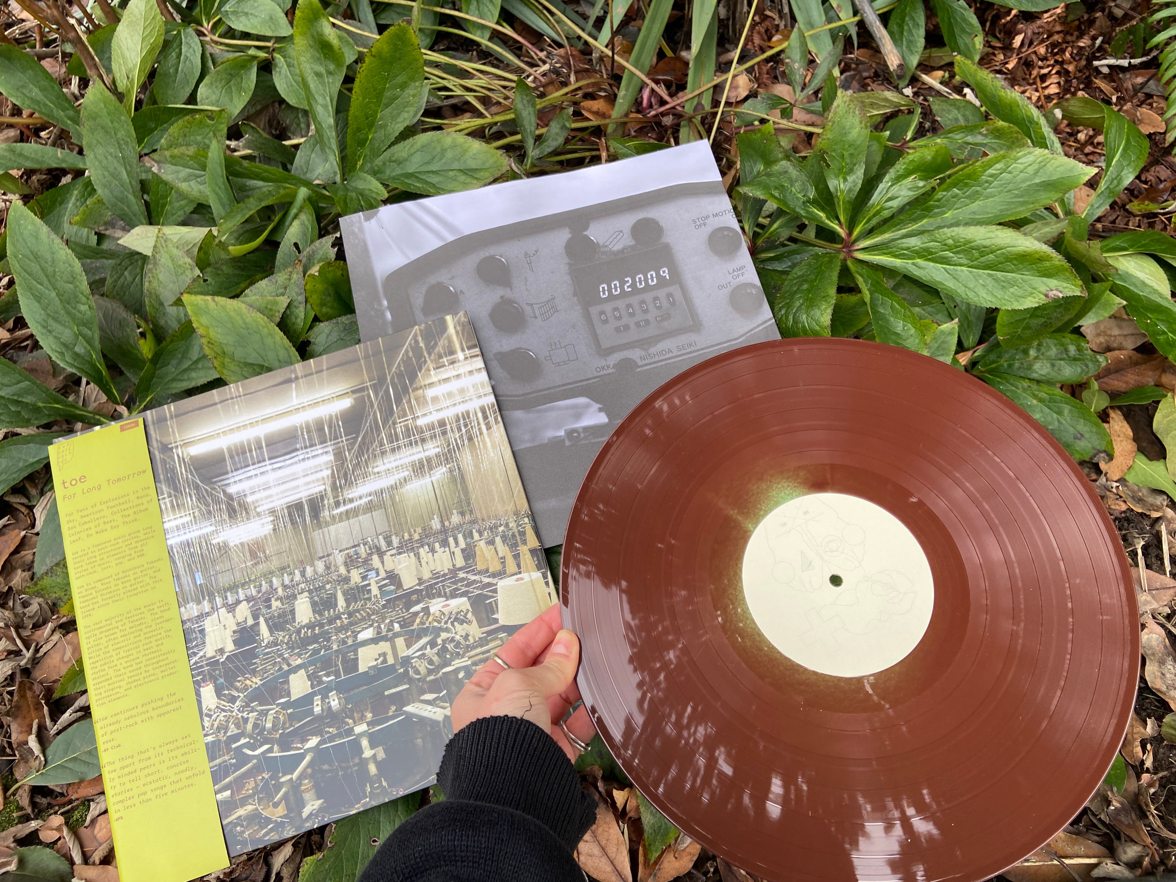 Topshelf Records - toe - For Long Tomorrow