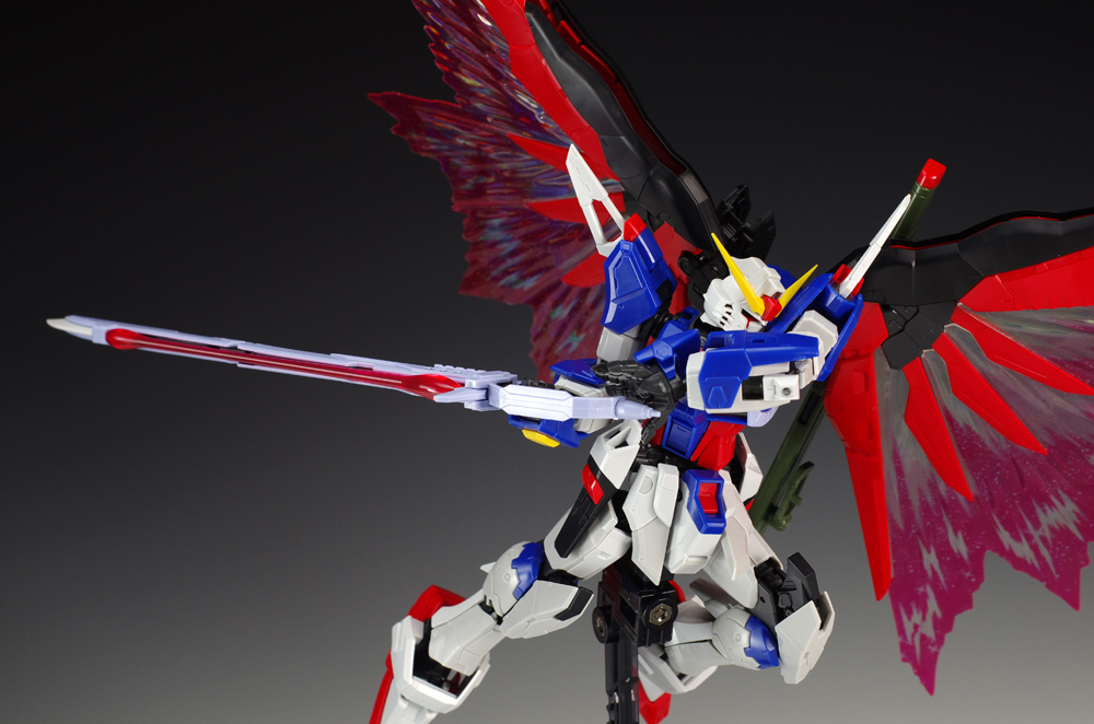 RG デスティニーガンダム チタニウムフィニッシュ / 光の翼 セット RG