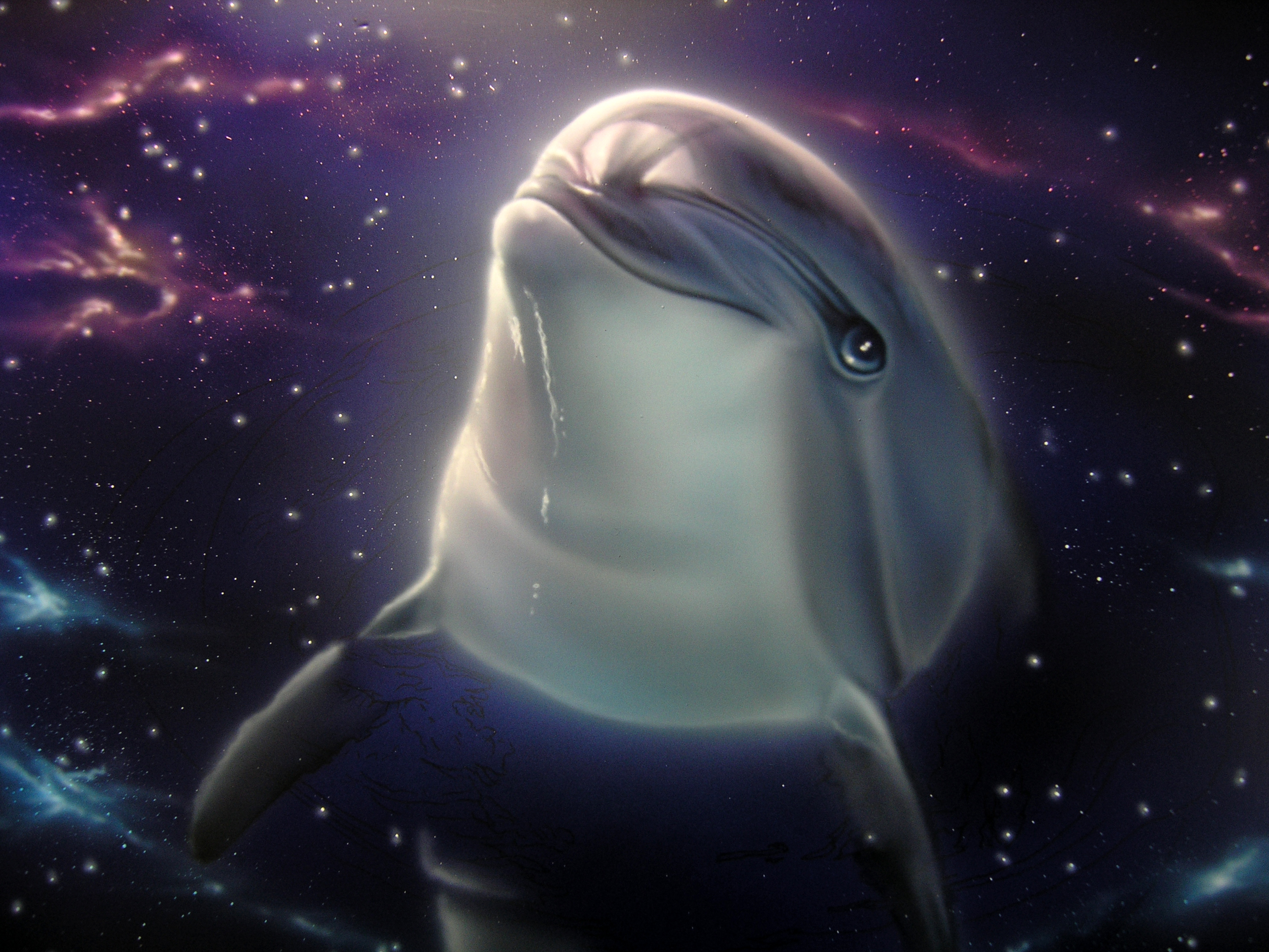 稀少】カンカラ三線三線エアーブラシアートイルカ