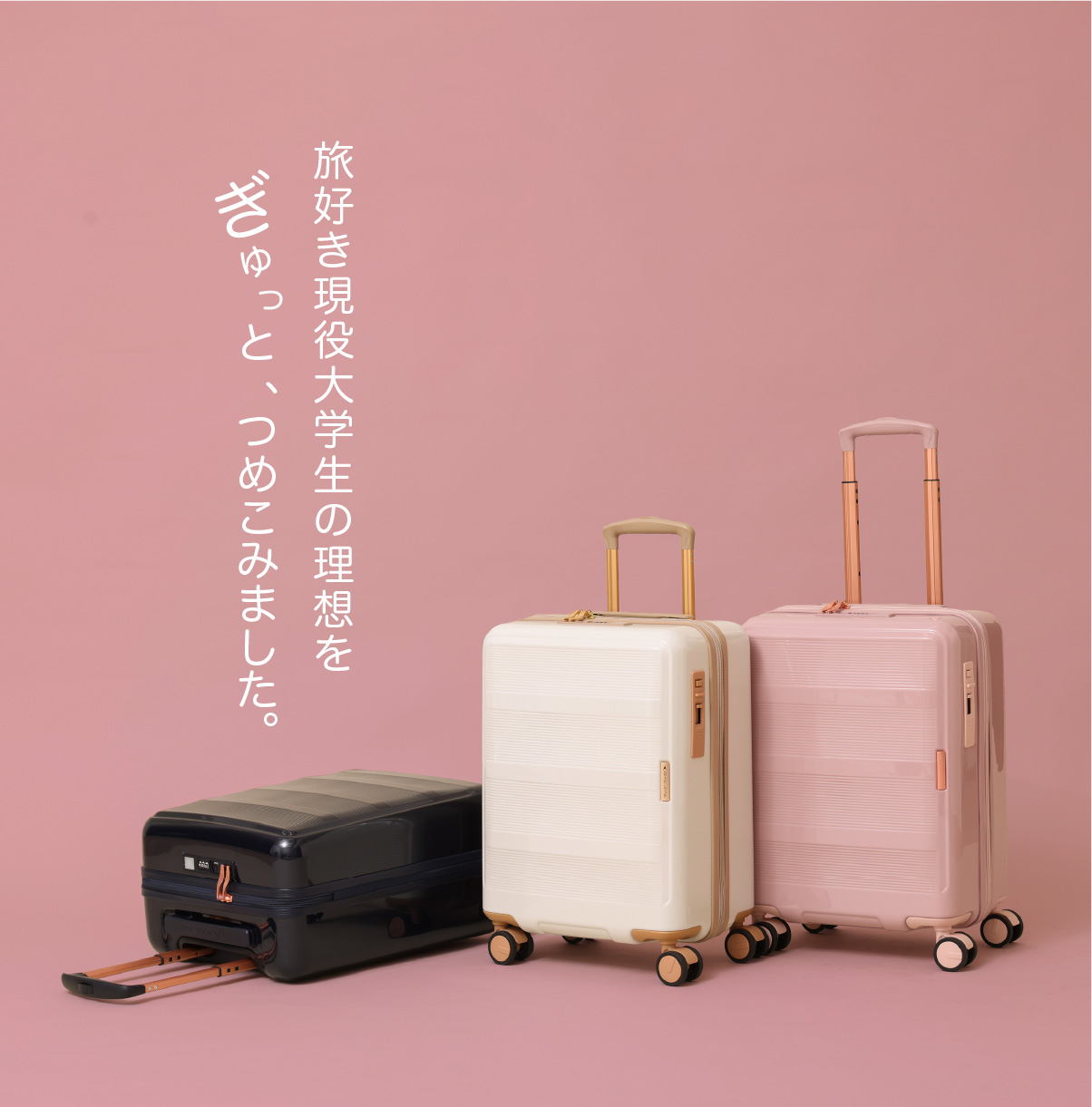 TRANSIT LOUNGE × non-noのコラボスーツケースにMサイズ登場☆ - SAC'S BAR