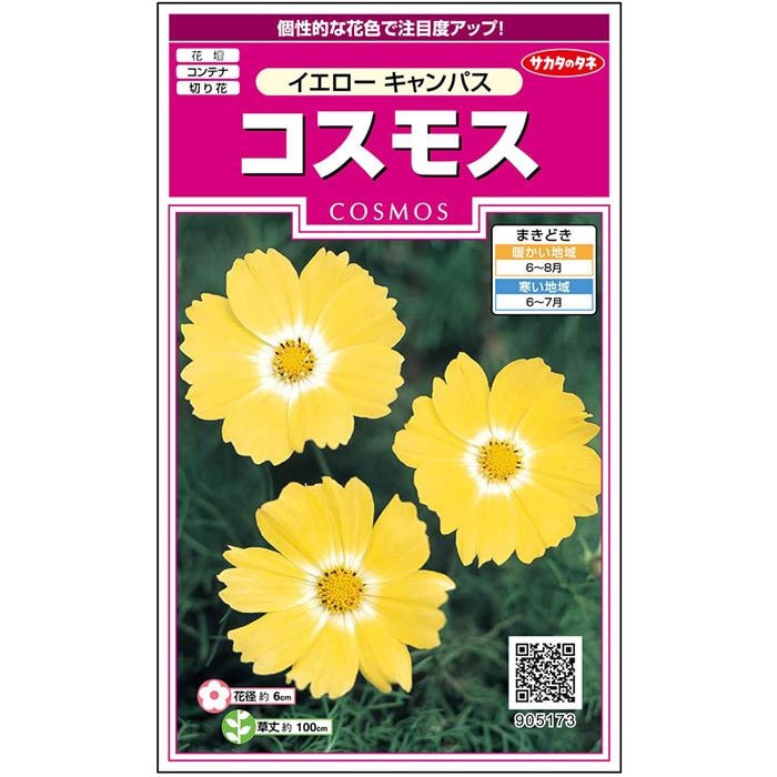 コスモス イエロー キャンパス｜種（タネ）,球根,苗,資材,ガーデニング