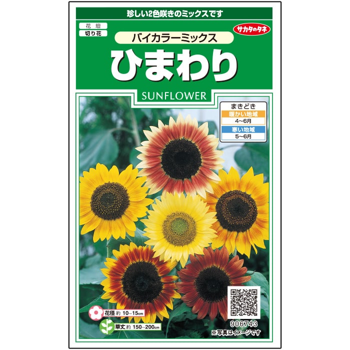 ヒマワリ バイカラー ミックス｜種（タネ）,球根,苗,資材,ガーデニング
