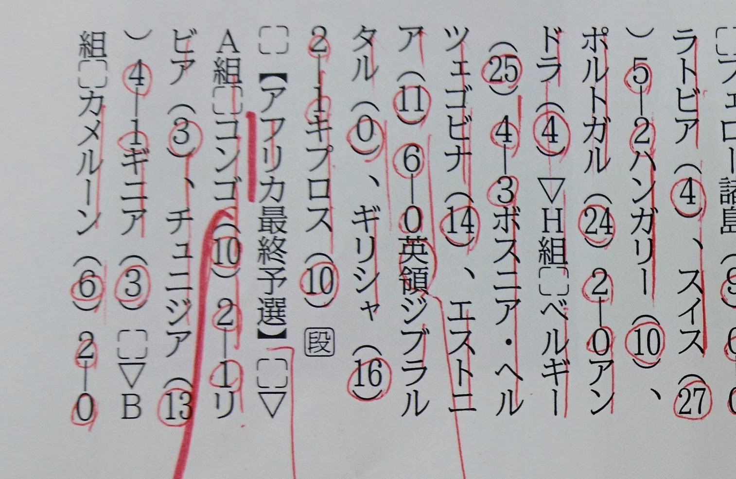 アフリカコンゴ共和国槍の形をした婚資