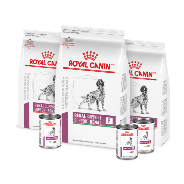 Royal Canin Veterinary Diet Canine Renal Support A Adult Dry Dog