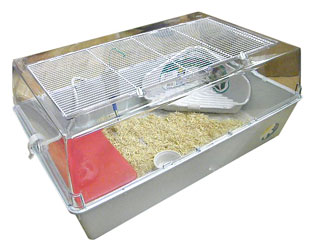 うさぎ飼育セット