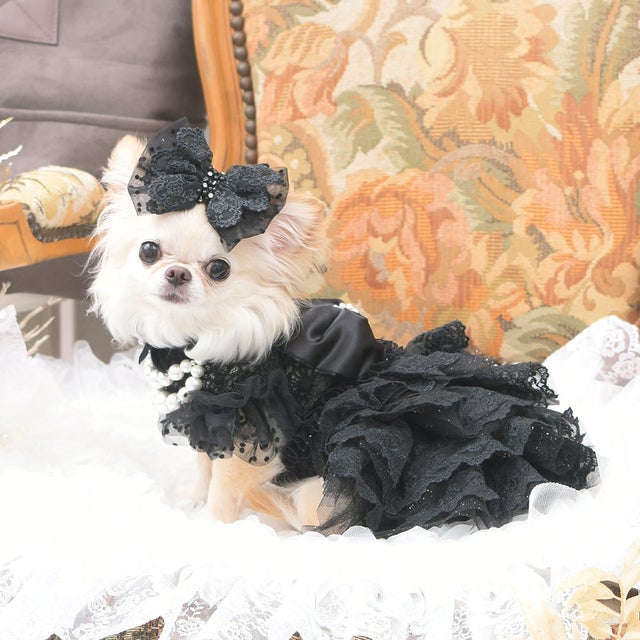 リュクスバーディ Luxe birdie バーディ Luxe birdie ロズレドレス M