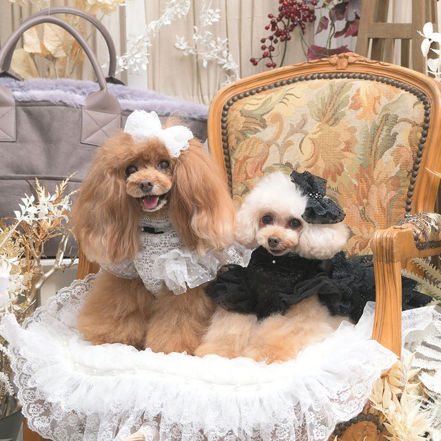 リュクスバーディ Luxe birdie バーディ Luxe birdie ロズレドレス M