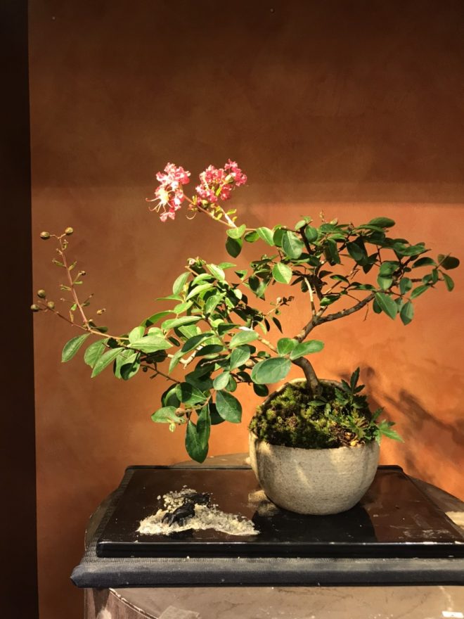 ガラス細工 玉石盆栽 フラワーベース インテリア 置き物 植木 盆栽