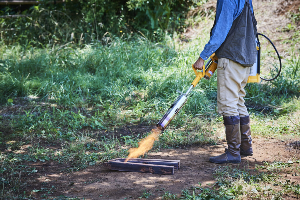 真鍮製ガソリンバーナー激レア✨ エバニュー2024年新商品「B.C. stove