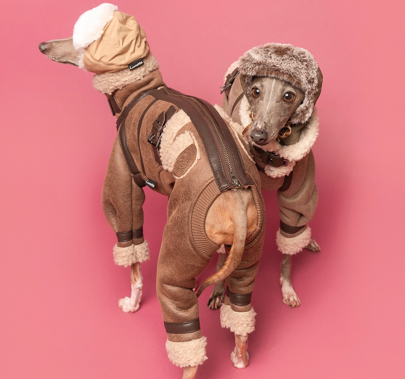 イタグレ服のLunetta