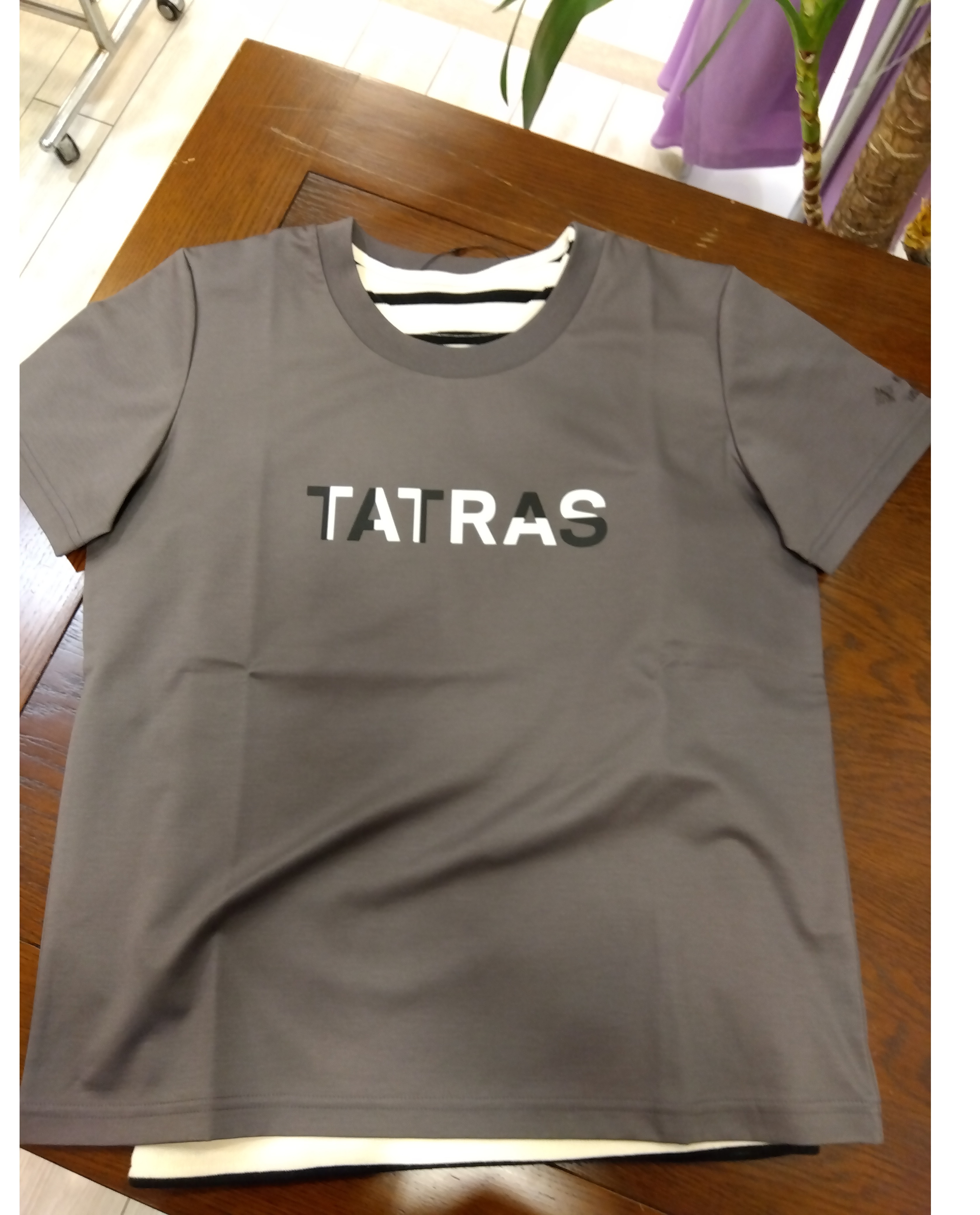 ⚜️TATRASカットソー⚜️⚜️✨ | Belle Femme | 松坂屋高槻店公式