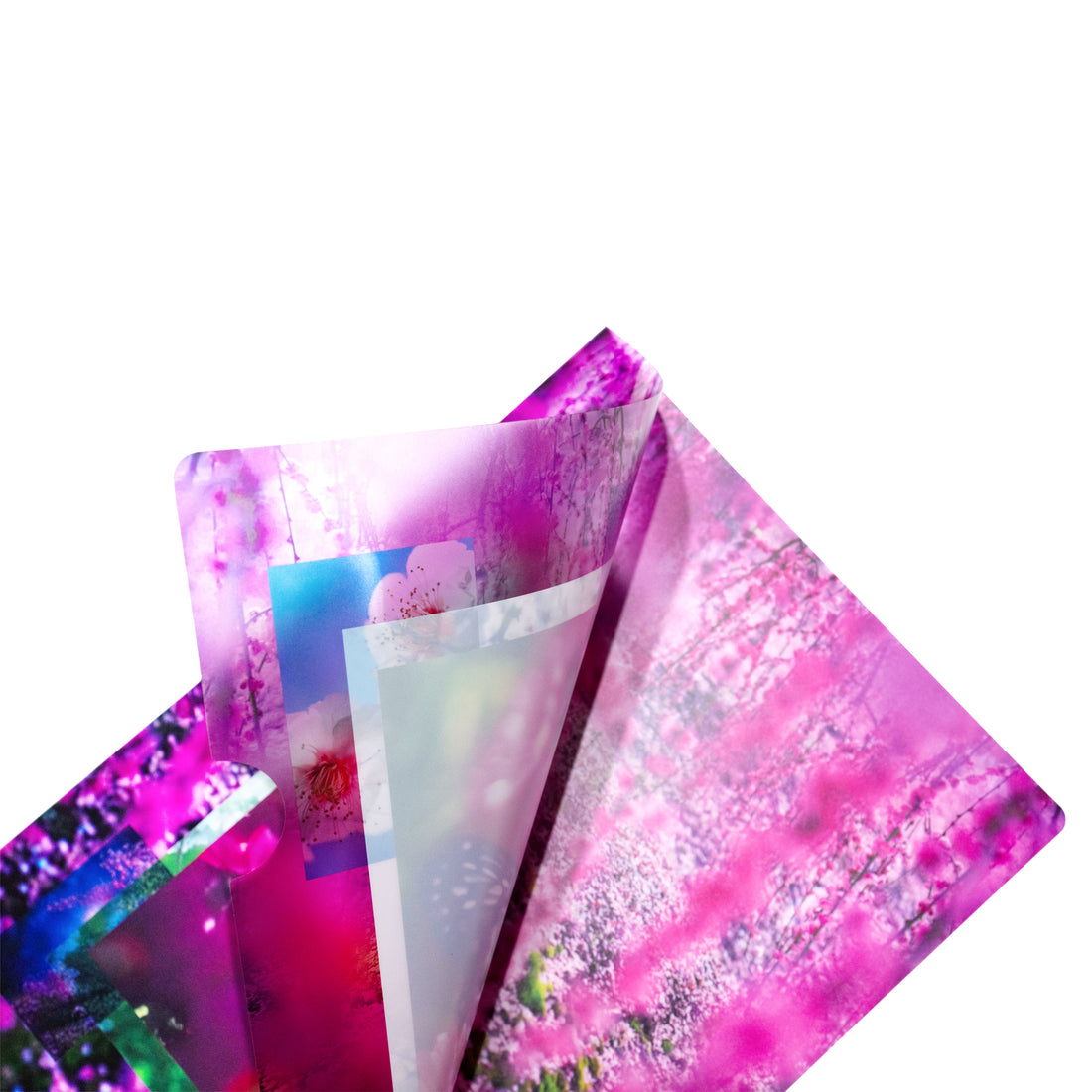 ムンク展クリアファイル 2枚セット ムンク展クリアファイル 2枚セット