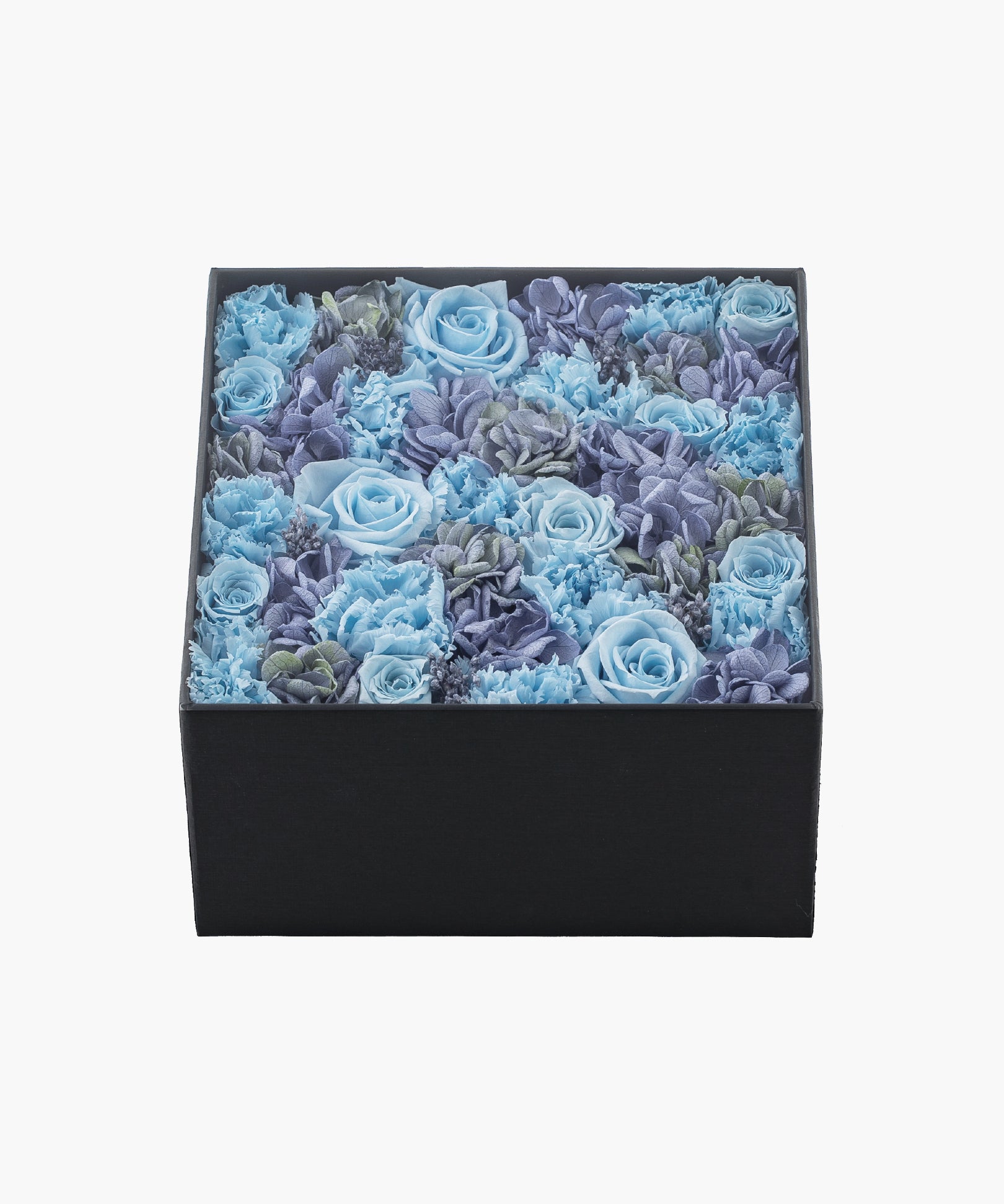 Sky's your Limit（スカイズ ユア リミット）