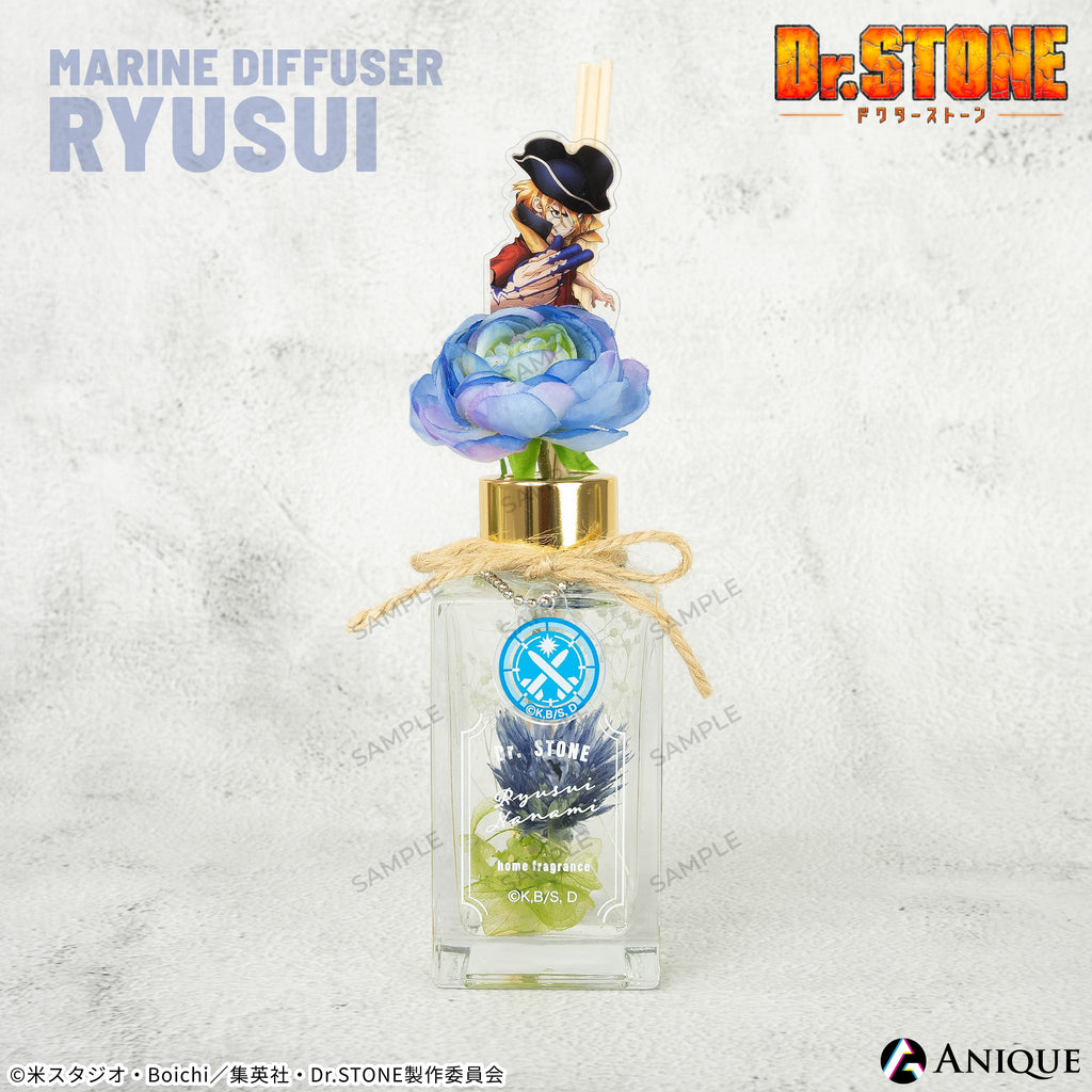 dcst_difuser-3_1024x.jpg?v=