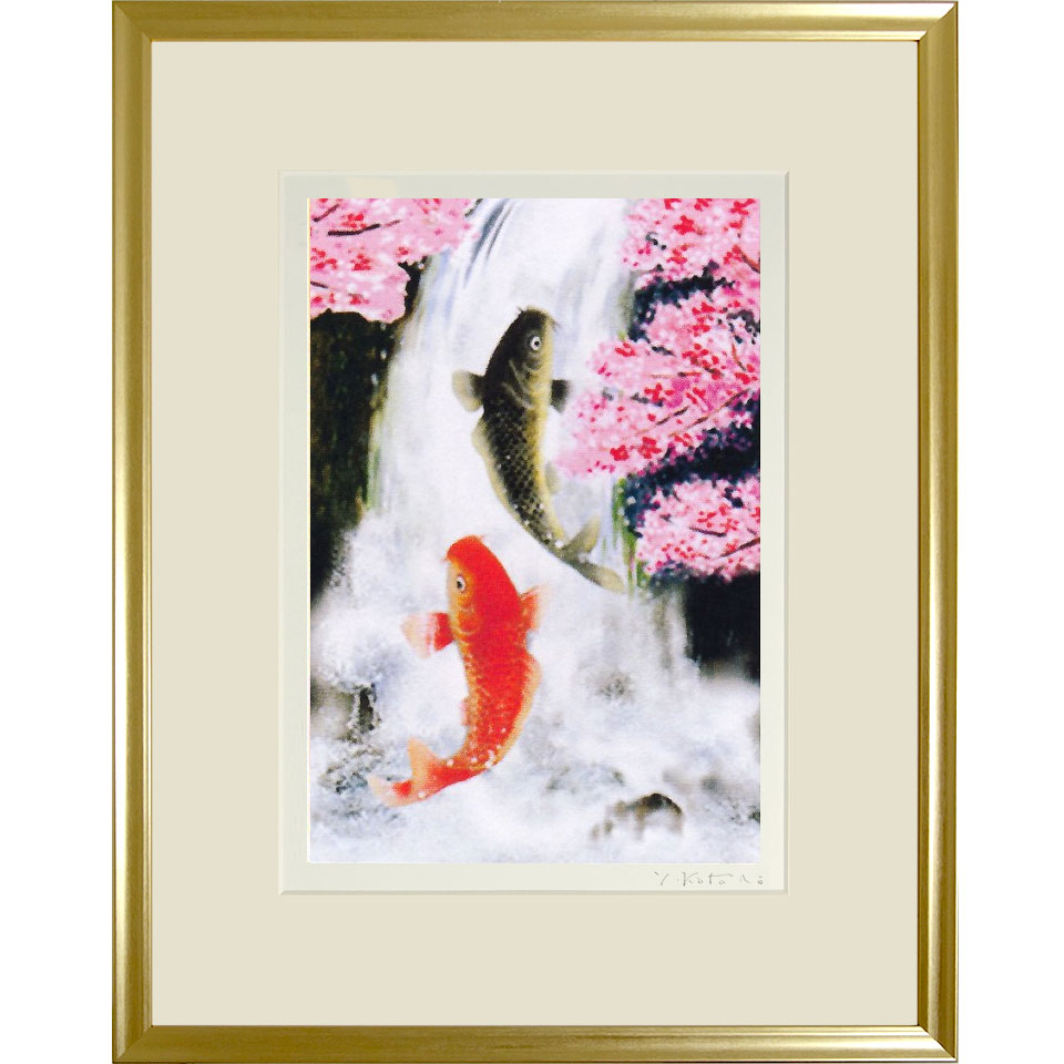 美品 掛け軸 広森耕仁作 夫婦鯉の滝登り図 共箱 太巻き付 美術年鑑掲載