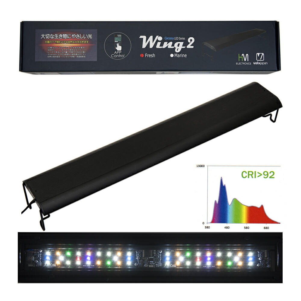 楽天市場】ボルクスジャパン Grassy Legna Marine