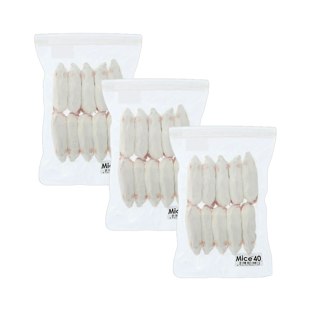 楽天市場】冷凍☆冷凍ヒヨコ 10羽パック 別途クール手数料 常温商品