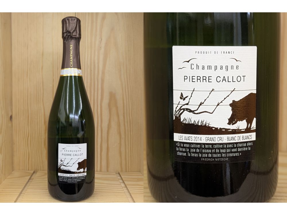 楽天市場】22：正規品:ENS:[2022] ニコラ・ジェイ ウィラメット