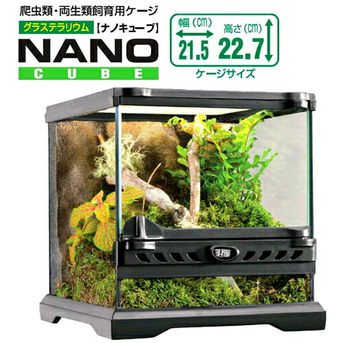 楽天市場】GEX グラステラリウム 9045 爬虫類 飼育 ケージ ガラス