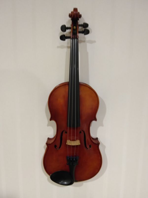 楽天市場】Karl Hofner #362 カール ヘフナー ミュートバイオリン