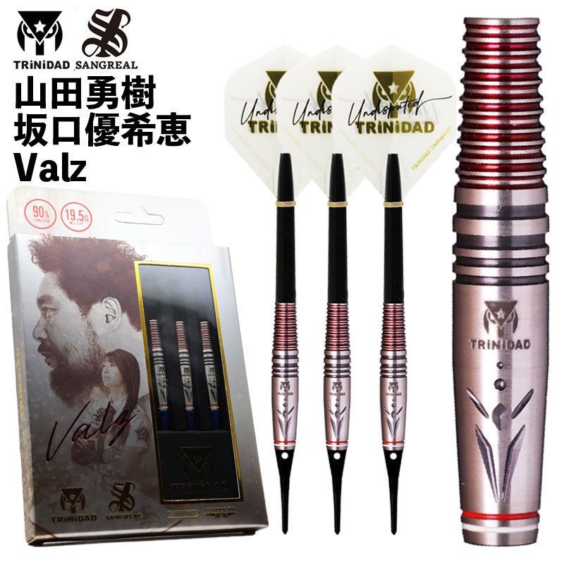 楽天市場】ダーツ FBリョン2 9ダーツエディション ワンエイティー