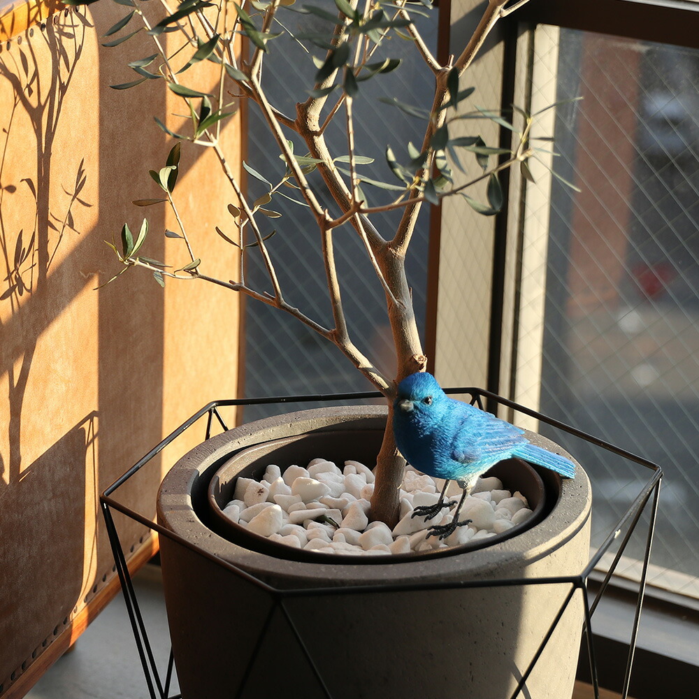 楽天市場】BITOSSI ビトッシ イタリア製 置物 鳥 リミニブルー